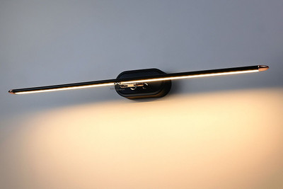 ZESTRUM Picture Light Wall Lamp With Bulb