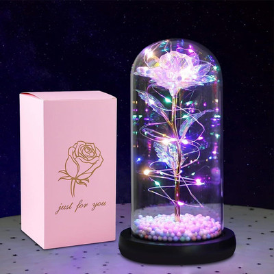 Everglow Lamp Gift Set