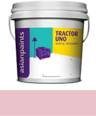 Asian Paints Tractor Uno 10kg pink distemper Merrie pink Distemper Wall Paint(10 L)