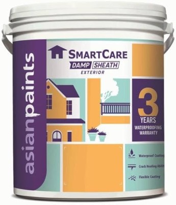 Asian Paints Damp proof sheath 20L White Emulsion Wall Paint(20 L)