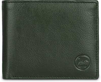 DOLPHIN GLOBAL Men Casual, Formal, Travel Green Genuine Leather Wallet(6 Card Slots)