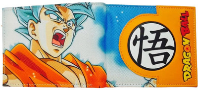 RV Mart Men Multicolor Canvas Wallet(2 Card Slots)