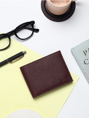 Wildedge Men Casual Brown Artificial Leather Wallet(6 Card Slots)