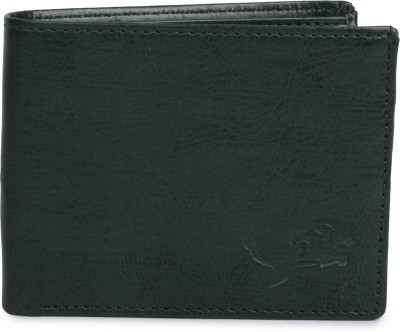 MACBERRY Men Casual Green Artificial Leather Wallet(11 Card Slots)