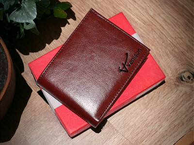VENISON Men Casual, Evening/Party, Formal Tan Artificial Leather Wallet(10 Card Slots)