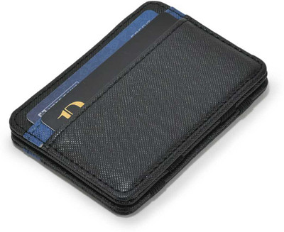 LOOPA Men Formal Blue Artificial Leather Card Holder(6 Card Slots)