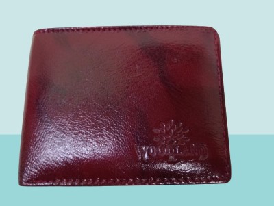 SAAD Men Casual, Evening/Party, Formal Maroon Artificial Leather Wallet(8 Card Slots)