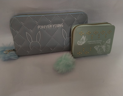 Aayansh Enterprises Women Multicolor Artificial Leather Wallet(2 Card Slots, Pack of 2)