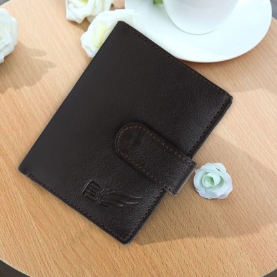 Flyboy Men Casual Tan Artificial Leather Wallet(4 Card Slots)