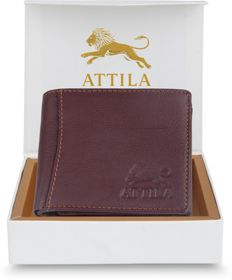 Attila Men Casual Brown Genuine Leather Wallet(6 Card Slots)