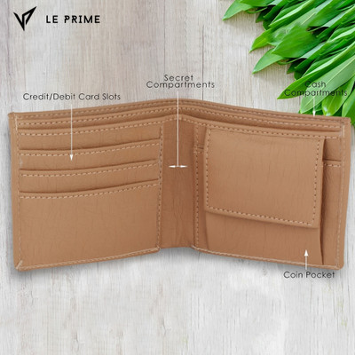 VIAZ VENTURES Men Casual, Trendy, Evening/Party Beige Artificial Leather Wallet(6 Card Slots)