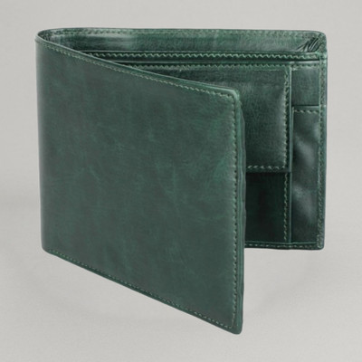 TAQWA Men Casual Green Genuine Leather, Artificial Leather Wallet(12 Card Slots)