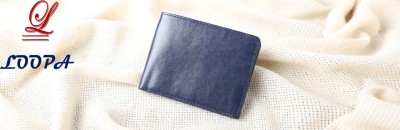 LOOPA Men Casual Blue Artificial Leather Wallet(5 Card Slots)