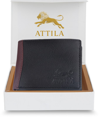 Attila Men Casual Black, Brown Genuine Leather Wallet(6 Card Slots)