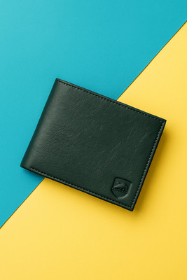SAMTROH Men Green Artificial Leather Wallet(4 Card Slots)