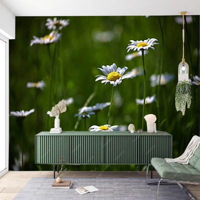 Crative Design Vinyl Abstract Multicolor Wallpaper(L x W: 244 cm x 41 cm)
