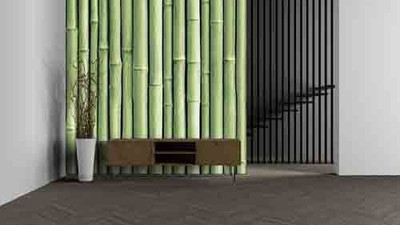 wallpics Vinyl Decorative Green Wallpaper(L x W: 200 cm x 45 cm)