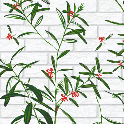 PrintCrown Architecture Green Wallpaper(244 cm x 41 cm)