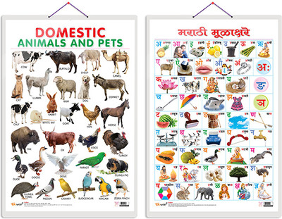 GO WOO Children Multicolor Wallpaper(68 cm x 47 cm, Pack of 2)