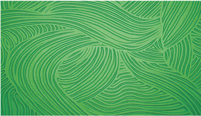 PR DESIGN SOLUTION Vinyl Decorative Green Wallpaper(L x W: 228 cm x 40 cm)