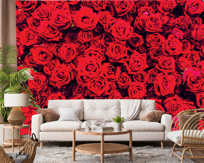 Creative Print Solution Abstract Multicolor Wallpaper(244 cm x 41 cm)