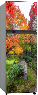 Craft Advertising Vinyl Abstract Multicolor Wallpaper(L x W: 160 cm x 60 cm)