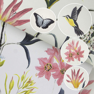 SREEPA SHOPPEE Vinyl Decorative Multicolor Wallpaper(L x W: 200 cm x 45 cm)