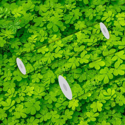HPL Vinyl Decorative Green Wallpaper(L x W: 244 cm x 41 cm)