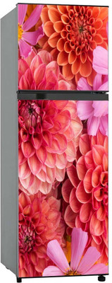 Craft Advertising Abstract Multicolor Wallpaper(160 cm x 60 cm)