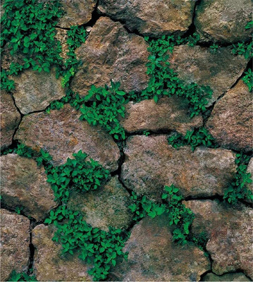 Medbay Vinyl Architecture Green Wallpaper(L x W: 300 cm x 45 cm)