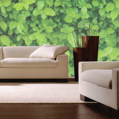 Flipkart SmartBuy 500 cm Green Leaves Vinyl Peel and Stick Wallpaper Self Adhesive Sticker(Pack of 1)