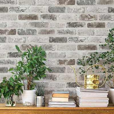 HD PRINTWALL Vinyl Classics Multicolor Wallpaper(L x W: 300 cm x 40 cm)
