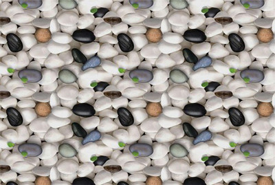 Guru Production Vinyl Classics Multicolor Wallpaper(L x W: 127 cm x 40 cm, Pack of 2)