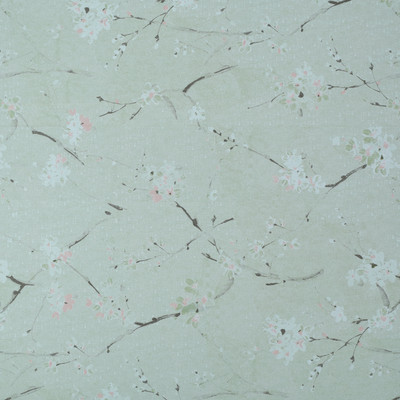 HOMEMATES Vinyl Nature Multicolor Wallpaper(L x W: 304.8 cm x 45 cm)