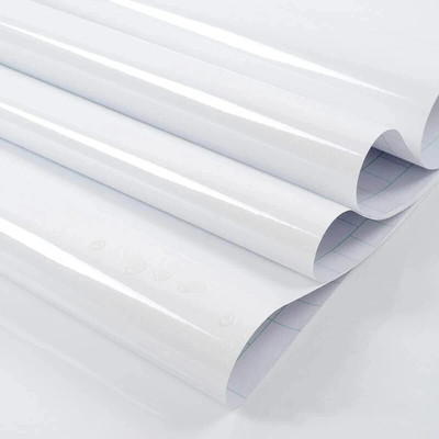 Wisdom Vinyl Decorative White Wallpaper(L x W: 60 cm x 253 cm)
