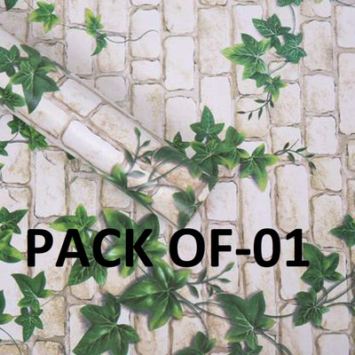 Splendid Vinyl Decorative Multicolor Wallpaper(L x W: 250 cm x 45 cm)