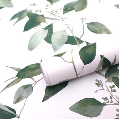 Wollzo Vinyl Floral & Botanical Green, White Wallpaper(L x W: 1000 cm x 45 cm)