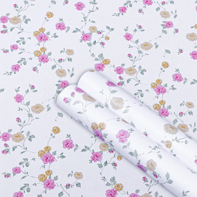 Whisq Vinyl Abstract Multicolor Wallpaper(L x W: 500 cm x 40 cm)