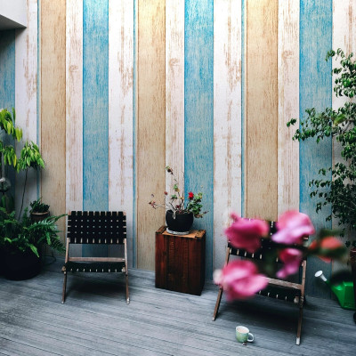 doodad Vinyl Decorative Multicolor Wallpaper(L x W: 300 cm x 45 cm)