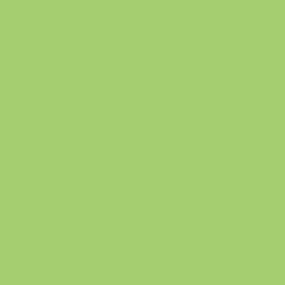JAAMSO ROYALS Vinyl Decorative Green Wallpaper(L x W: 200 cm x 45 cm)