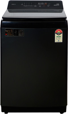 Panasonic 10 kg Fully Automatic Top Load Washing Machine with In-built Heater Black(NA-F100VD1BB)