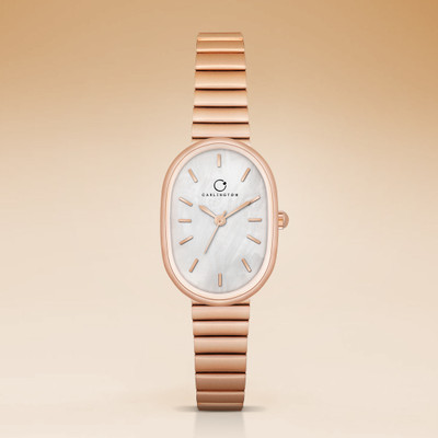 Carlington Iconic 2031 Carlington Iconic Series Premium Ladies Wrist Watches Analog Watch  - For Women