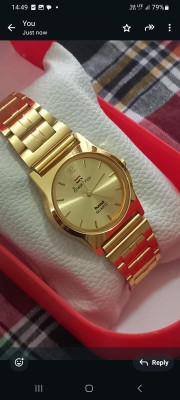 Robin Analog Watch  - For Men