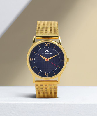 PETER ENGLAND Analog Watch  - For Men