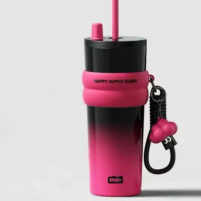 MINNIKOO Travel Flask Steel | Anti Spill | Daily Use | Travel Accessory | School SupplY 700 ml Water Bottle(Set of 1, Pink)