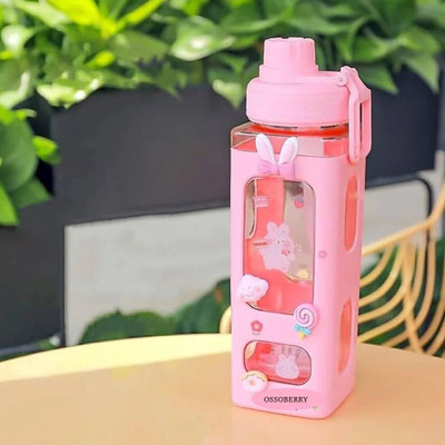 Ossoberry Cute Water Bottle with Straw - 700ml Leakproof BPA-Free Bottle for Girls & Boys 700 ml Water Bottle(Set of 1, Pink)