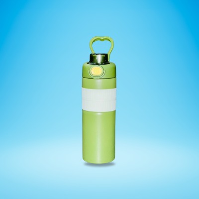 DXB Water Bottle 600 ml Water Bottle(Set of 1, Green)