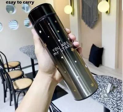 FLYBOX Temperature Bottle 01 500 ml Bottle