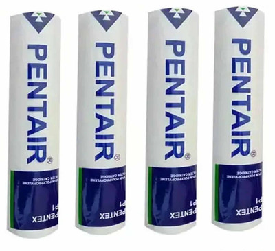 AuraWater PENTAIR Water Filter Candle Cartridge Suitable for All Water Purifier 10inch_N40 Solid Filter Cartridge(5, Pack of 4)
