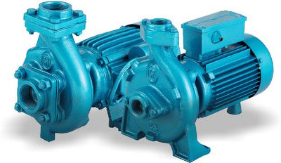 C R I Groups CRI VIRAT1025 (AF) - 1 HP, Single Phase Centrifugal Monoblock Pump Centrifugal Water Pump(1 hp)